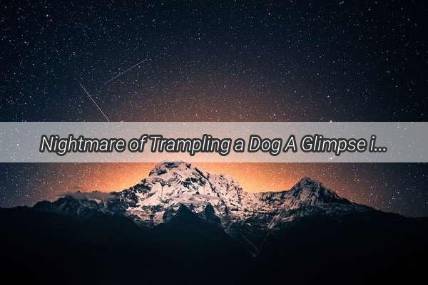 Nightmare of Trampling a Dog A Glimpse into the Darker Side of Dreams